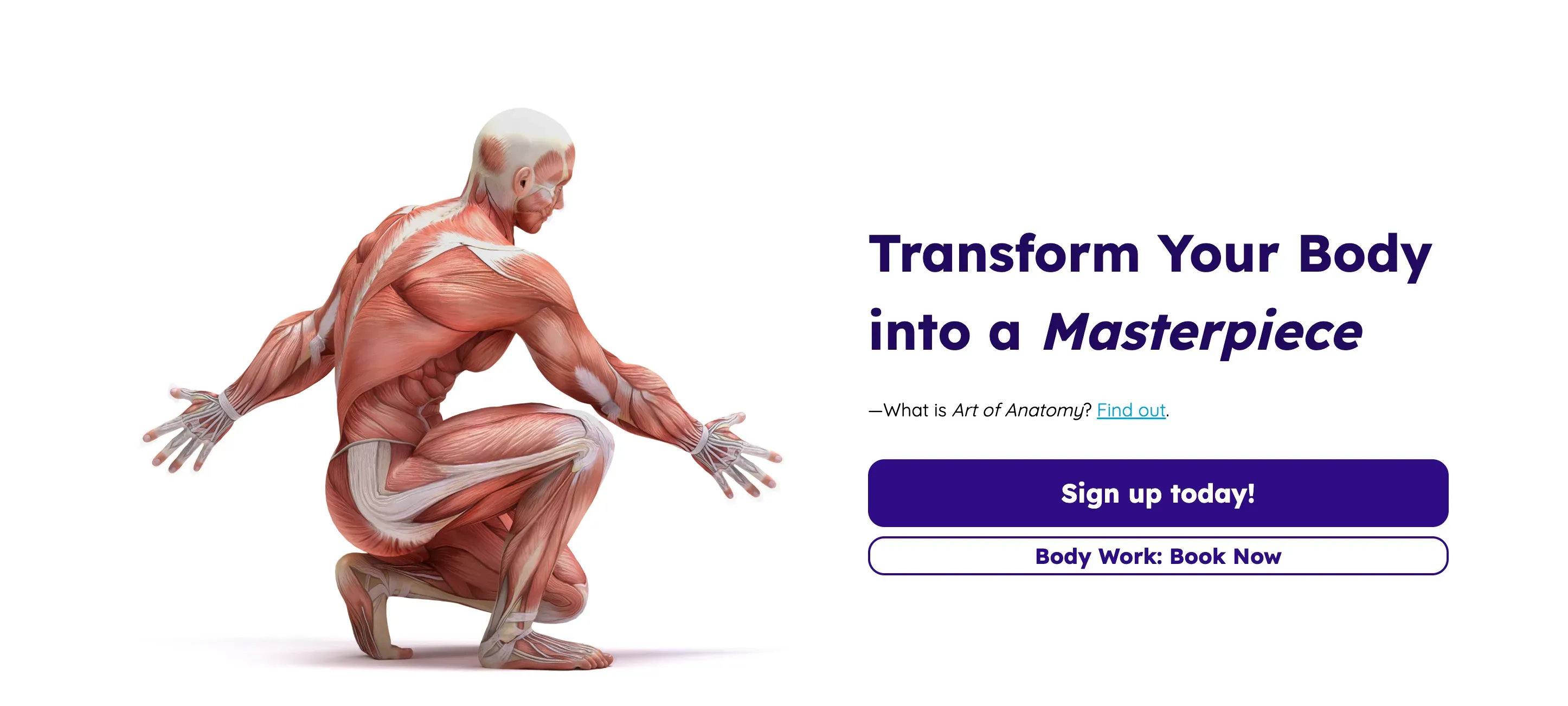 Art of Anatomy