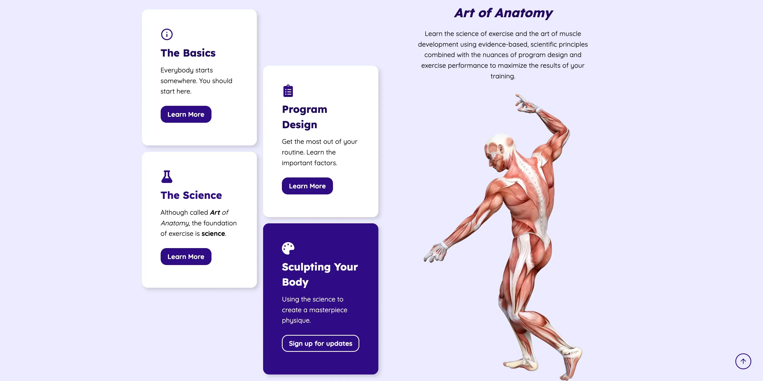 art of anatomy fitness